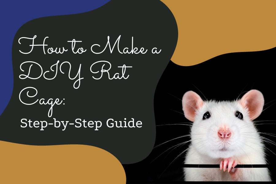 How To Make A Diy Rat Cage Step By