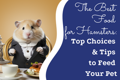 The Best Food for Hamsters: Top Choices & Tips to Feed Your Pet