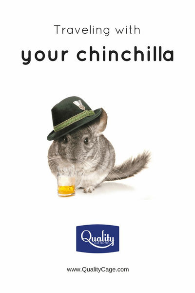 Traveling with your chinchilla