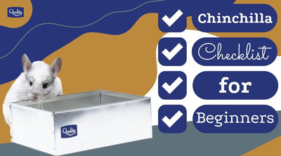 Chinchilla - The ultimate new owner checklist