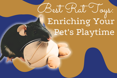 Best Rat Toys: Enriching Your Pet's Playtime