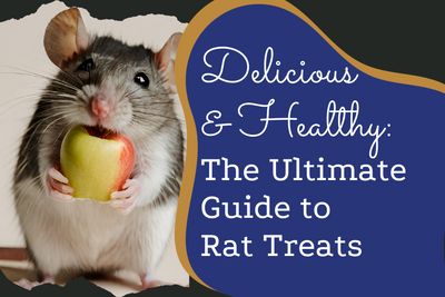 Delicious & Healthy: The Ultimate Guide to Rat Treats