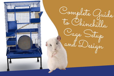 Complete Guide to Chinchilla Cage Setup and Design