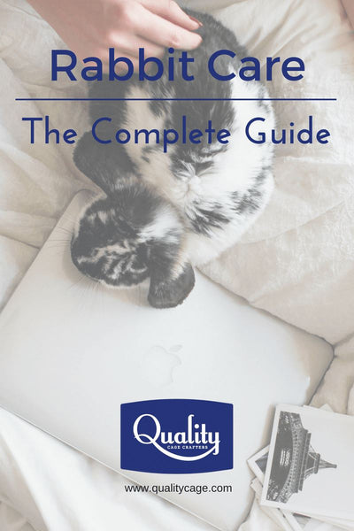Rabbit Care - The Complete Guide