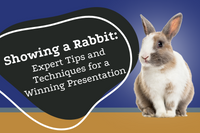 Expert Tips and Techniques for Successful Rabbit Hunting