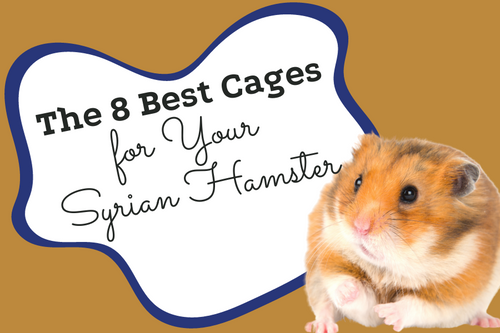 The 8 Best Cages for Your Syrian Hamster Quality Cage