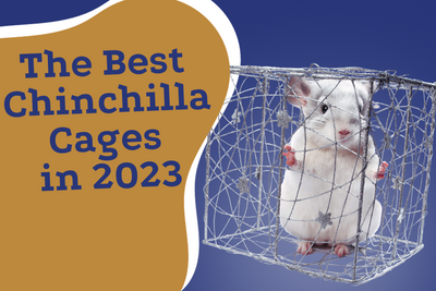 The Best Chinchilla Cages in 2023, Ranked and Reviewed