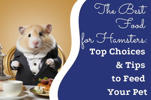 Good hamster food shop