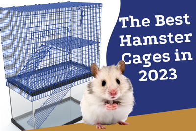 The Best Hamster Cages in 2023, Ranked and Reviewed