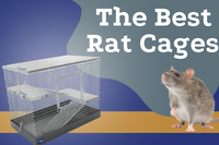 Cage size for 2 clearance rats