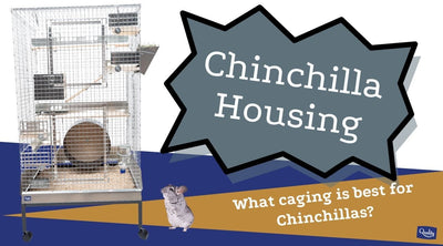 Chinchilla Housing