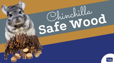 Chinchilla Safe Wood