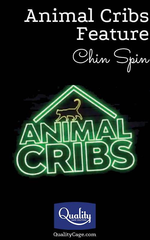 Animal Animal Cribs Chinchilla feature