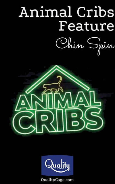 Animal Cribs Feature