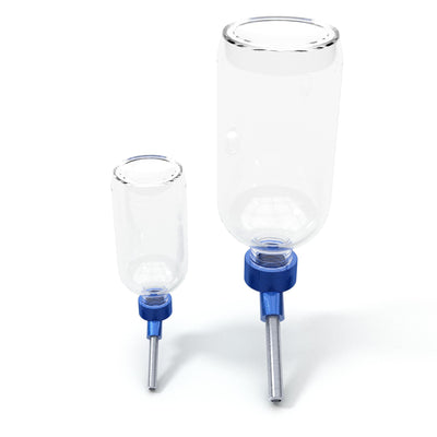 Glass Lixit Water Bottle