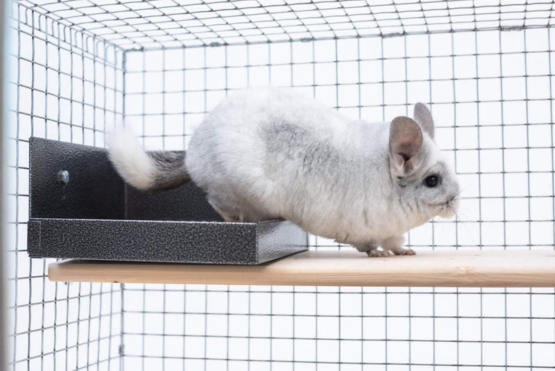 Chinchilla Litter Box Accessories Quality Cage Crafters 