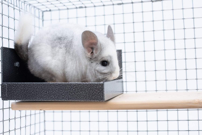 Chinchilla Litter Box Accessories Quality Cage Crafters 