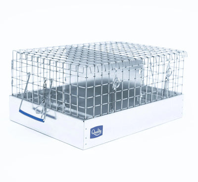Supreme Guinea Pig Carrier Carriers Quality Cage Crafters 