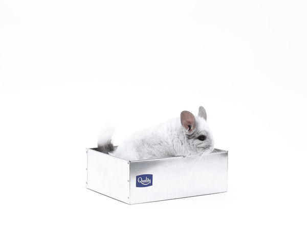 https://qualitycage.com/cdn/shop/products/quality-cage-crafters-chinchilla-dust-all-metal-chinchilla-dust-bath-28261451399239_grande.jpg?v=1638068623