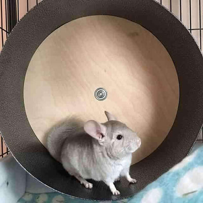 Chin Spin 15" Chinchilla Exercise Wheel Exercise Wheels Quality Cage Crafters 