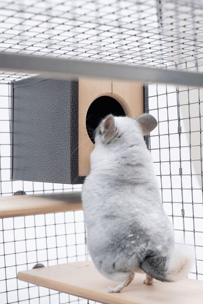 Chinchilla Nest Box Nest Boxes Quality Cage Crafters 